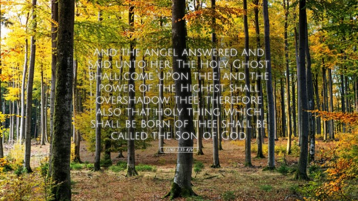 Picture 05 - Luke 1:35 KJV Desktop Wallpaper - And the angel answered and said unto her, The - Desktop Bible Verse Wallpaper