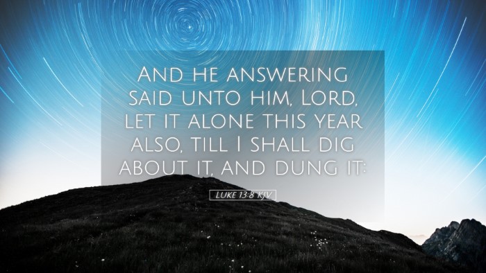 Picture 05 - Luke 13:8 KJV Desktop Wallpaper - And he answering said unto him, Lord, let it - Desktop Bible Verse Wallpaper