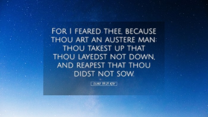 Picture 05 - Luke 19:21 KJV Desktop Wallpaper - For I feared thee, because thou art an austere - Desktop Bible Verse Wallpaper