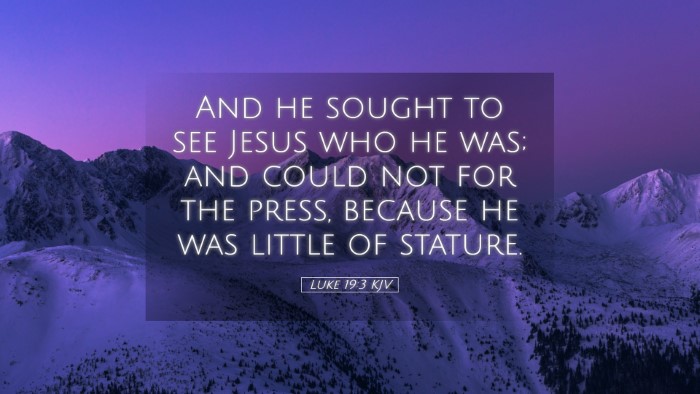 Picture 05 - Luke 19:3 KJV Desktop Wallpaper - And he sought to see Jesus who he was; and could - Desktop Bible Verse Wallpaper