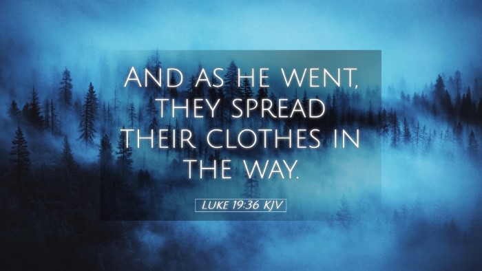 Picture 05 - Luke 19:36 KJV Desktop Wallpaper - And as he went, they spread their clothes in the - Desktop Bible Verse Wallpaper