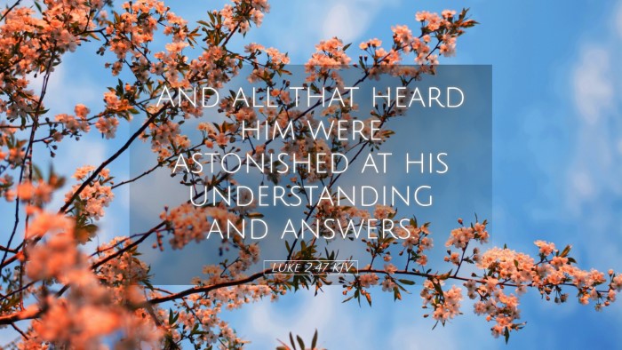 Picture 05 - Luke 2:47 KJV Desktop Wallpaper - And all that heard him were astonished at his - Desktop Bible Verse Wallpaper