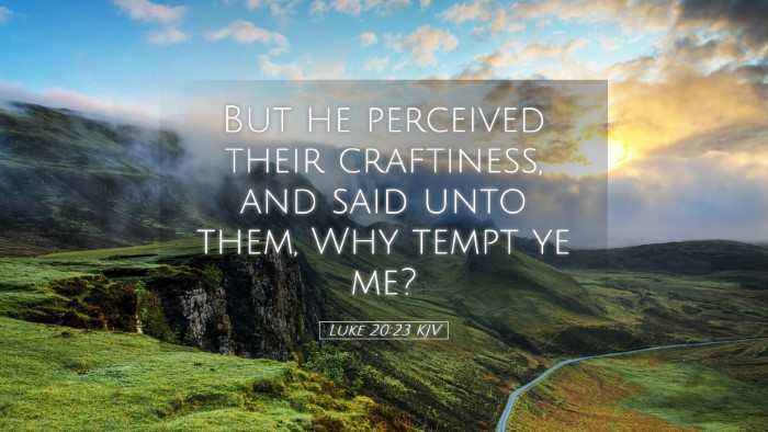 Picture 05 - Luke 20:23 KJV Desktop Wallpaper - But he perceived their craftiness, and said unto - Desktop Bible Verse Wallpaper