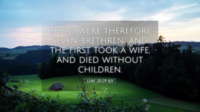 Picture 05 - Luke 20:29 KJV Desktop Wallpaper - There were therefore seven brethren: and the - Desktop Bible Verse Wallpaper