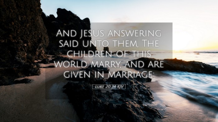 Picture 05 - Luke 20:34 KJV Desktop Wallpaper - And Jesus answering said unto them, The children - Desktop Bible Verse Wallpaper