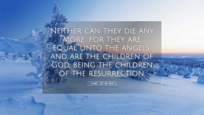 Picture 05 - Luke 20:36 KJV Desktop Wallpaper - Neither can they die any more: for they are equal - Desktop Bible Verse Wallpaper