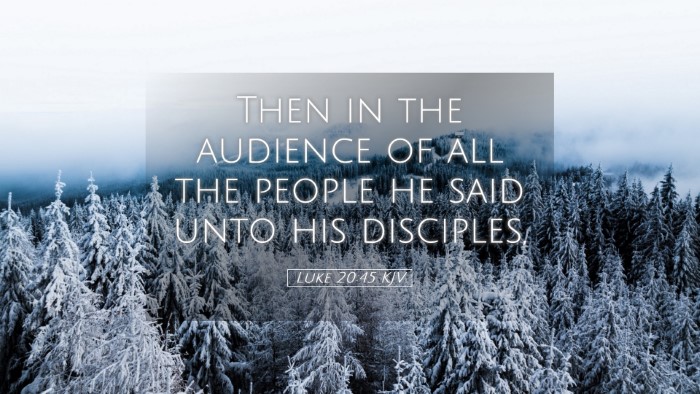 Picture 05 - Luke 20:45 KJV Desktop Wallpaper - Then in the audience of all the people he said - Desktop Bible Verse Wallpaper