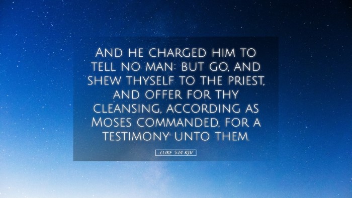 Picture 05 - Luke 5:14 KJV Desktop Wallpaper - And he charged him to tell no man: but go, and - Desktop Bible Verse Wallpaper