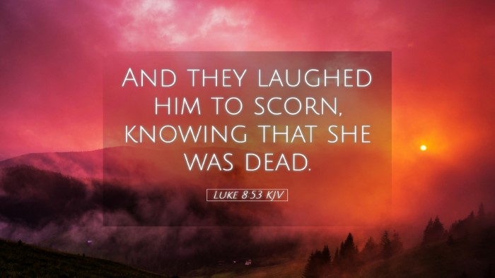 Picture 05 - Luke 8:53 KJV Desktop Wallpaper - And they laughed him to scorn, knowing that she - Desktop Bible Verse Wallpaper