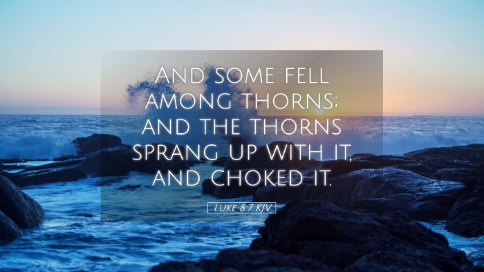 Picture 05 - Luke 8:7 KJV Desktop Wallpaper - And some fell among thorns; and the thorns sprang - Desktop Bible Verse Wallpaper