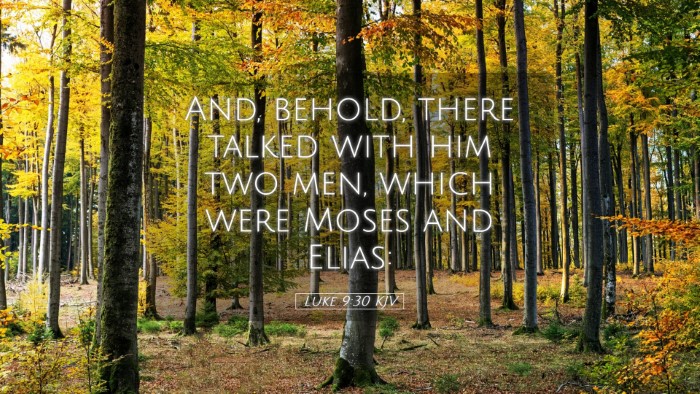 Picture 05 - Luke 9:30 KJV Desktop Wallpaper - And, behold, there talked with him two men, which - Desktop Bible Verse Wallpaper