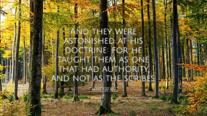 Picture 05 - Mark 1:22 KJV Desktop Wallpaper - And they were astonished at his doctrine: for he - Desktop Bible Verse Wallpaper