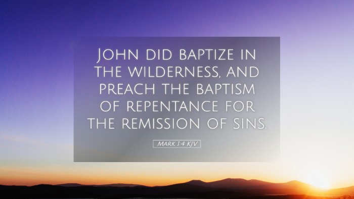 Picture 05 - Mark 1:4 KJV Desktop Wallpaper - John did baptize in the wilderness, and preach - Desktop Bible Verse Wallpaper