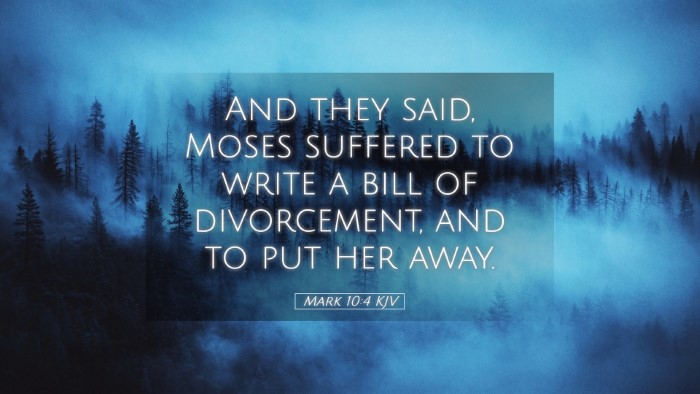 Picture 05 - Mark 10:4 KJV Desktop Wallpaper - And they said, Moses suffered to write a bill of - Desktop Bible Verse Wallpaper