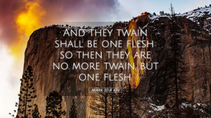Picture 05 - Mark 10:8 KJV Desktop Wallpaper - And they twain shall be one flesh: so then they - Desktop Bible Verse Wallpaper