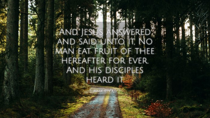 Picture 05 - Mark 11:14 KJV Desktop Wallpaper - And Jesus answered and said unto it, No man eat - Desktop Bible Verse Wallpaper