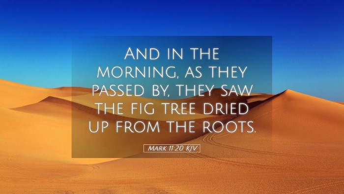 Picture 05 - Mark 11:20 KJV Desktop Wallpaper - And in the morning, as they passed by, they saw - Desktop Bible Verse Wallpaper