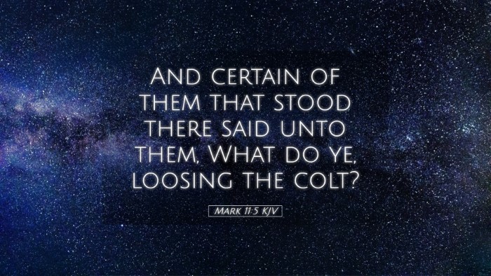 Picture 05 - Mark 11:5 KJV Desktop Wallpaper - And certain of them that stood there said unto - Desktop Bible Verse Wallpaper