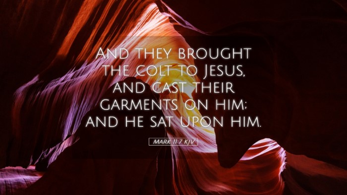 Picture 05 - Mark 11:7 KJV Desktop Wallpaper - And they brought the colt to Jesus, and cast - Desktop Bible Verse Wallpaper
