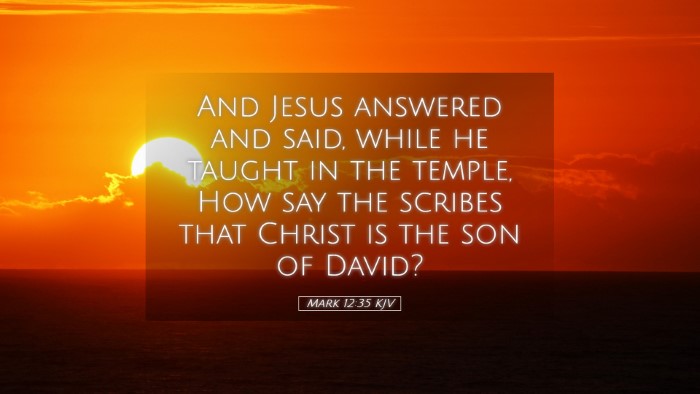 Picture 05 - Mark 12:35 KJV Desktop Wallpaper - And Jesus answered and said, while he taught in - Desktop Bible Verse Wallpaper