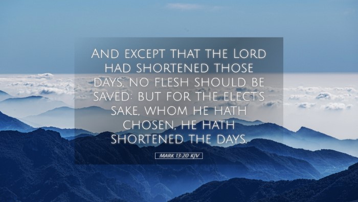 Picture 05 - Mark 13:20 KJV Desktop Wallpaper - And except that the Lord had shortened those - Desktop Bible Verse Wallpaper