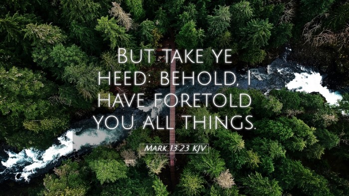 Picture 05 - Mark 13:23 KJV Desktop Wallpaper - But take ye heed: behold, I have foretold you all - Desktop Bible Verse Wallpaper