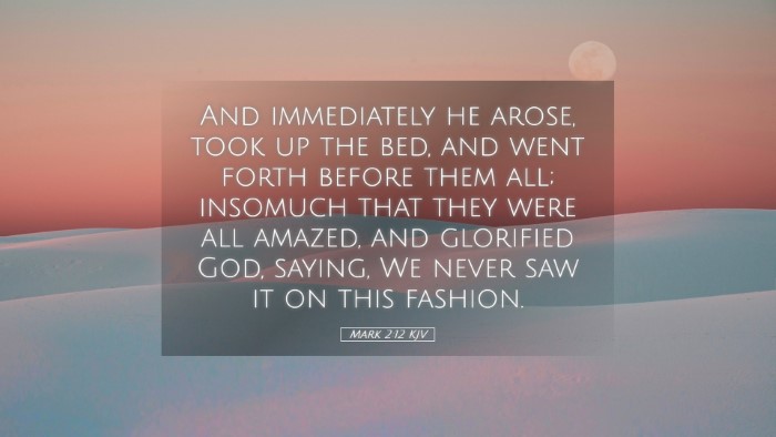 Picture 05 - Mark 2:12 KJV Desktop Wallpaper - And immediately he arose, took up the bed, and - Desktop Bible Verse Wallpaper