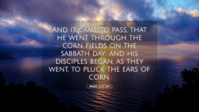 Picture 05 - Mark 2:23 KJV Desktop Wallpaper - And it came to pass, that he went through the - Desktop Bible Verse Wallpaper