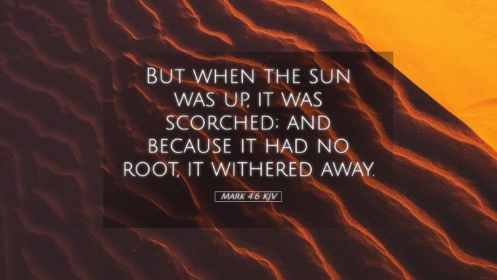 Picture 05 - Mark 4:6 KJV Desktop Wallpaper - But when the sun was up, it was scorched; and - Desktop Bible Verse Wallpaper