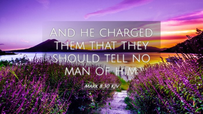 Picture 05 - Mark 8:30 KJV Desktop Wallpaper - And he charged them that they should tell no man - Desktop Bible Verse Wallpaper