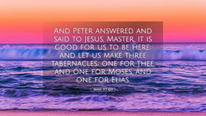 Picture 05 - Mark 9:5 KJV Desktop Wallpaper - And Peter answered and said to Jesus, Master, it - Desktop Bible Verse Wallpaper
