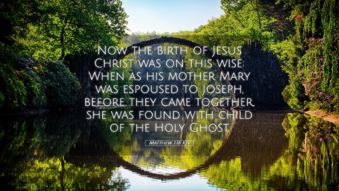 Picture 05 - Matthew 1:18 KJV Desktop Wallpaper - Now the birth of Jesus Christ was on this wise: - Desktop Bible Verse Wallpaper
