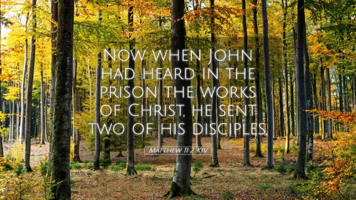 Picture 05 - Matthew 11:2 KJV Desktop Wallpaper - Now when John had heard in the prison the works - Desktop Bible Verse Wallpaper