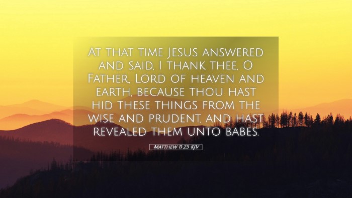 Picture 05 - Matthew 11:25 KJV Desktop Wallpaper - At that time Jesus answered and said, I thank - Desktop Bible Verse Wallpaper