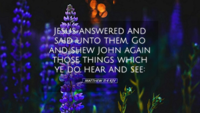 Picture 05 - Matthew 11:4 KJV Desktop Wallpaper - Jesus answered and said unto them, Go and shew - Desktop Bible Verse Wallpaper