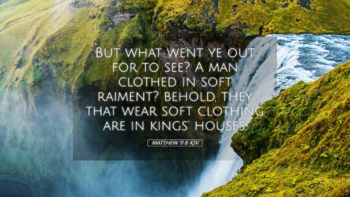 Picture 05 - Matthew 11:8 KJV Desktop Wallpaper - But what went ye out for to see? A man clothed in - Desktop Bible Verse Wallpaper