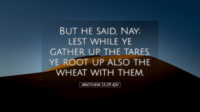 Picture 05 - Matthew 13:29 KJV Desktop Wallpaper - But he said, Nay; lest while ye gather up the - Desktop Bible Verse Wallpaper