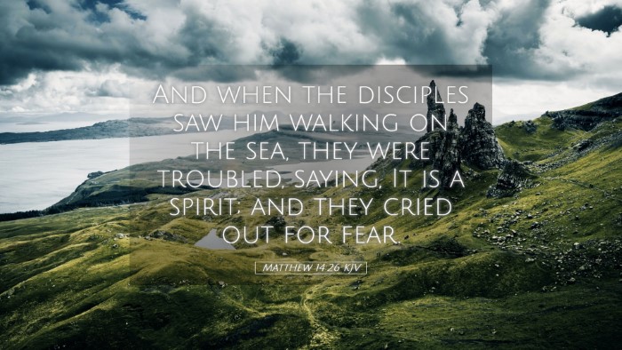Picture 05 - Matthew 14:26 KJV Desktop Wallpaper - And when the disciples saw him walking on the - Desktop Bible Verse Wallpaper
