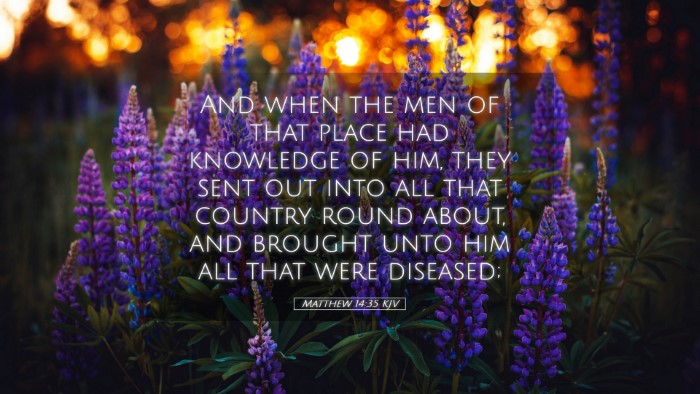 Picture 05 - Matthew 14:35 KJV Desktop Wallpaper - And when the men of that place had knowledge of - Desktop Bible Verse Wallpaper