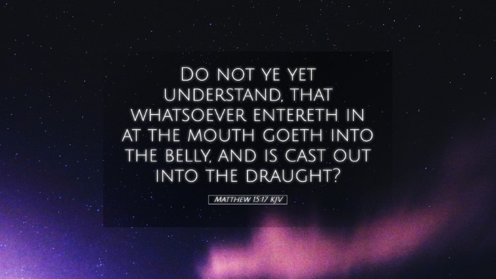 Picture 05 - Matthew 15:17 KJV Desktop Wallpaper - Do not ye yet understand, that whatsoever - Desktop Bible Verse Wallpaper
