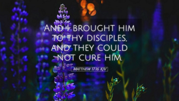 Picture 05 - Matthew 17:16 KJV Desktop Wallpaper - And I brought him to thy disciples, and they - Desktop Bible Verse Wallpaper