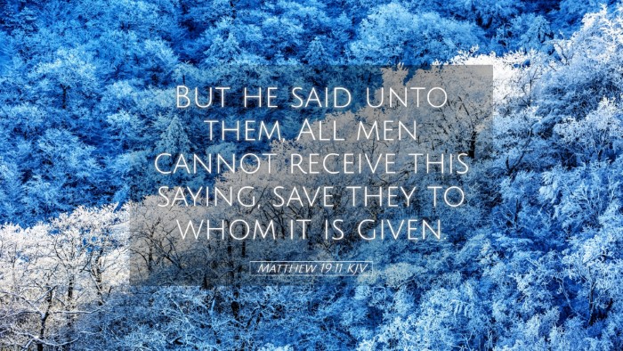 Picture 05 - Matthew 19:11 KJV Desktop Wallpaper - But he said unto them, All men cannot receive - Desktop Bible Verse Wallpaper