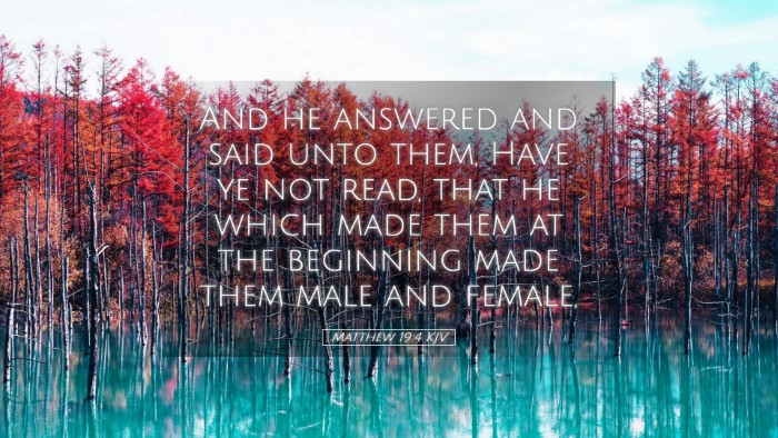 Picture 05 - Matthew 19:4 KJV Desktop Wallpaper - And he answered and said unto them, Have ye not - Desktop Bible Verse Wallpaper
