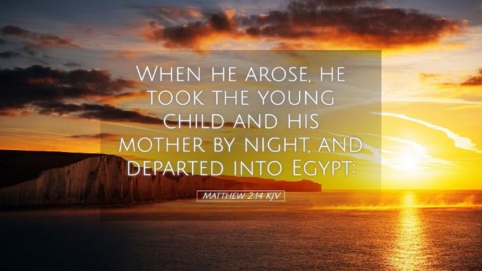 Picture 05 - Matthew 2:14 KJV Desktop Wallpaper - When he arose, he took the young child and his - Desktop Bible Verse Wallpaper