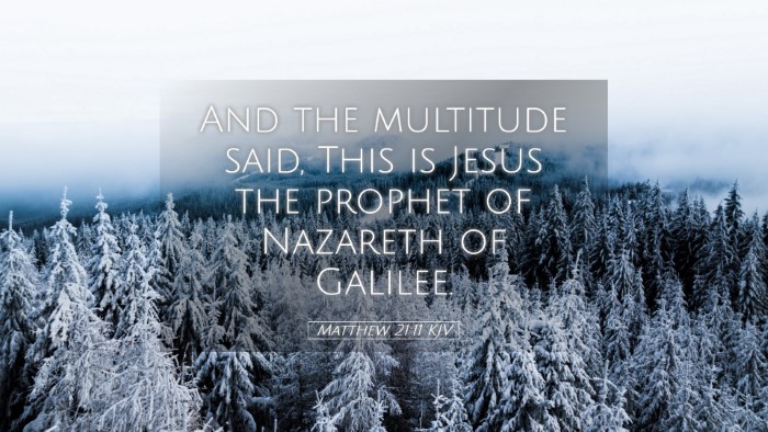 Picture 05 - Matthew 21:11 KJV Desktop Wallpaper - And the multitude said, This is Jesus the prophet - Desktop Bible Verse Wallpaper