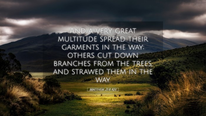 Picture 05 - Matthew 21:8 KJV Desktop Wallpaper - And a very great multitude spread their garments - Desktop Bible Verse Wallpaper