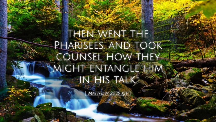 Picture 05 - Matthew 22:15 KJV Desktop Wallpaper - Then went the Pharisees, and took counsel how - Desktop Bible Verse Wallpaper
