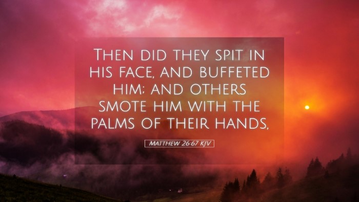 Picture 05 - Matthew 26:67 KJV Desktop Wallpaper - Then did they spit in his face, and buffeted him; - Desktop Bible Verse Wallpaper