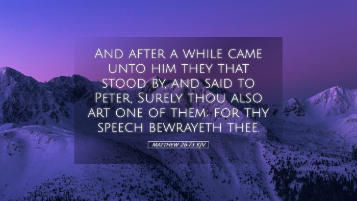 Picture 05 - Matthew 26:73 KJV Desktop Wallpaper - And after a while came unto him they that stood - Desktop Bible Verse Wallpaper