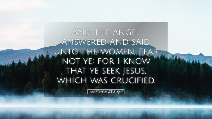 Picture 05 - Matthew 28:5 KJV Desktop Wallpaper - And the angel answered and said unto the women, - Desktop Bible Verse Wallpaper